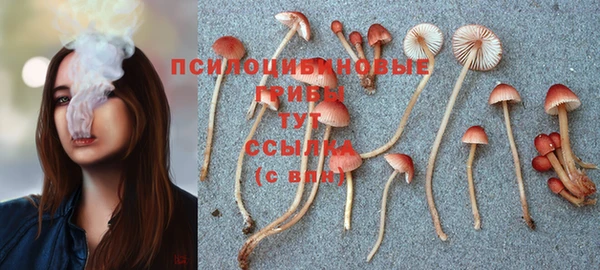 гидра Алексин
