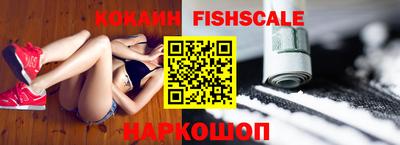 индика Гусь-Хрустальный