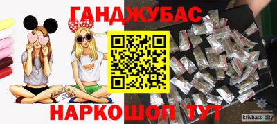 индика Гусь-Хрустальный