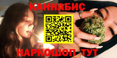 индика Гусь-Хрустальный