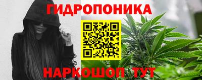 спайс Гусев