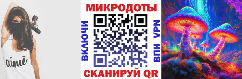 закладка  Протвино  Псилоцибиновые грибы ЛСД 